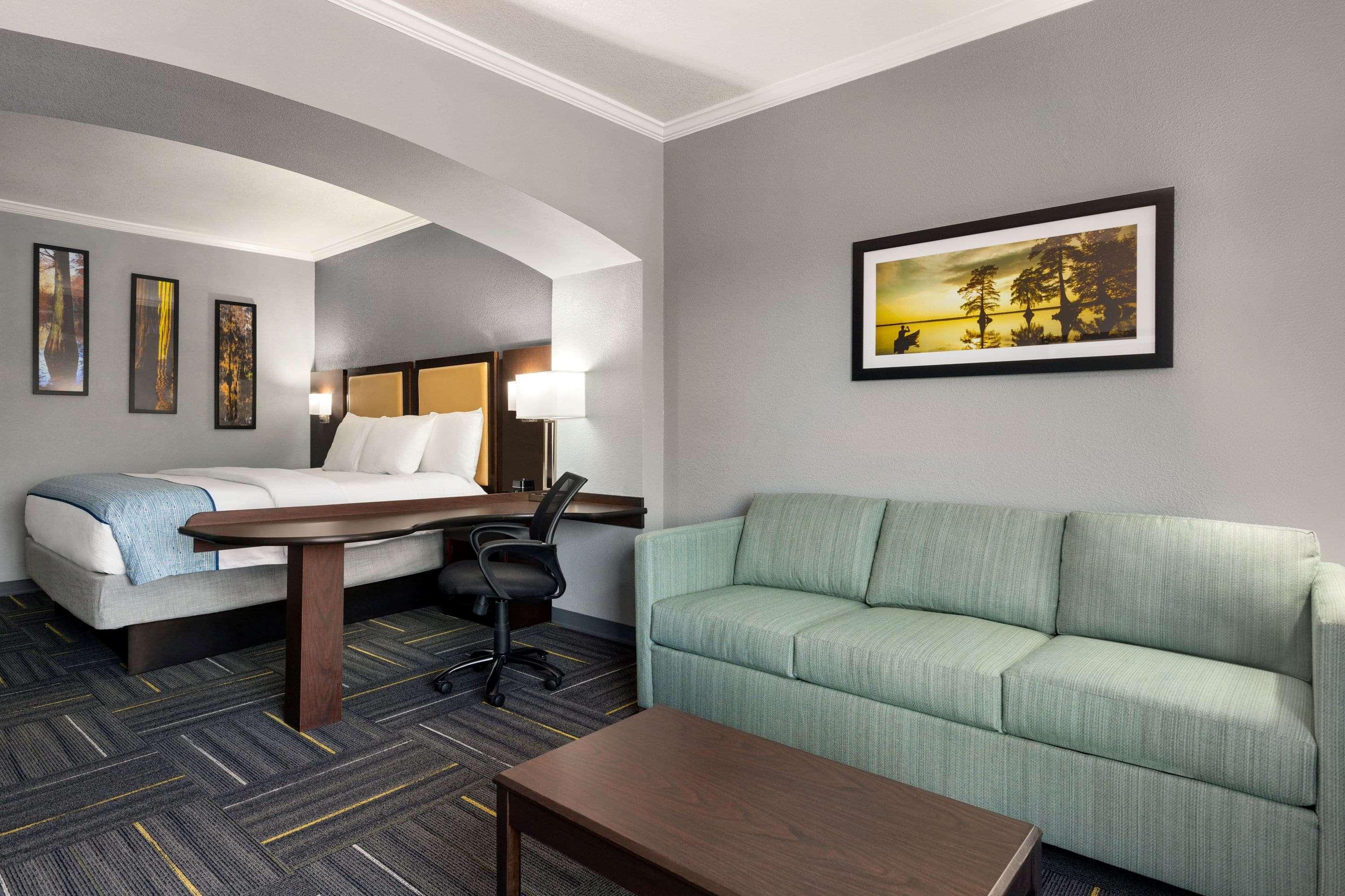 La Quinta By Wyndham Dublin Hotel Eksteriør billede